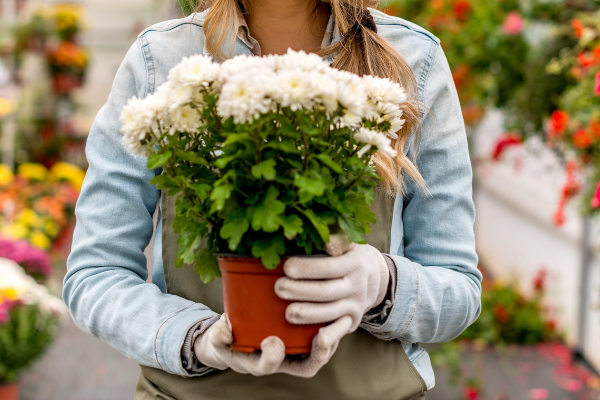 Garden center employee holding flowers