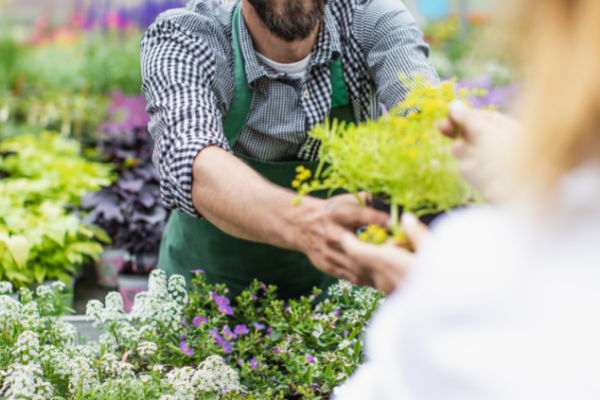 Garden center employee handing a plant to customer