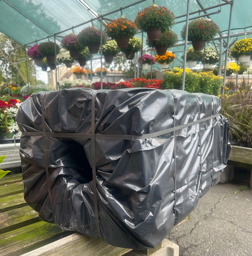 Large Cat House
