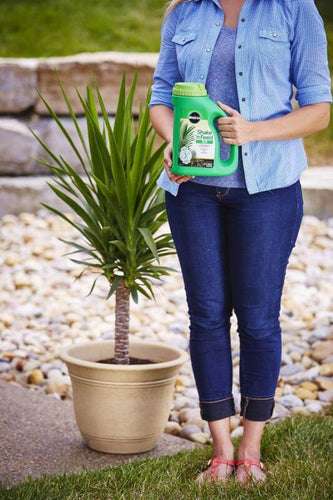 miracle-gro shake 'n feed palm plant food Miracle-Gro® Shake 'n Feed® Palm Plant Food - Farmingdale, NY