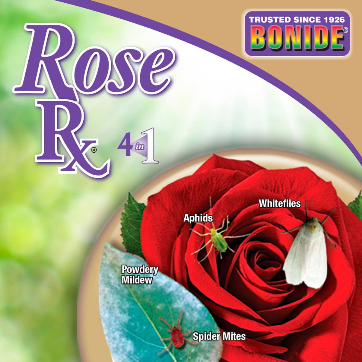Bonide Captain Jack's Rose Rx 4-in-1 Ready-To-Use Fungicide ...
