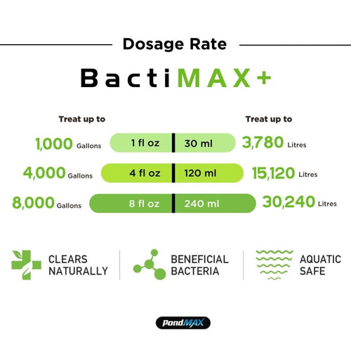 PondMax BactiMAX+ All Season Bacteria