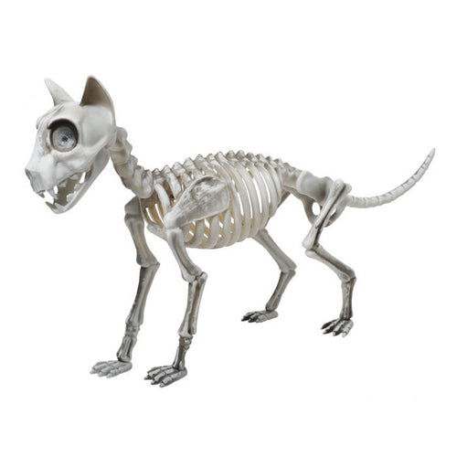 Fun World Skele-Cat Decor Halloween Decoration