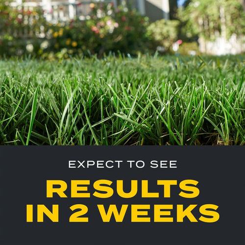 Scotts® Turf Builder® Triple Action₁