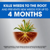 Roundup® Dual Action Weed & Grass Killer Plus 4 Month Preventer Refill