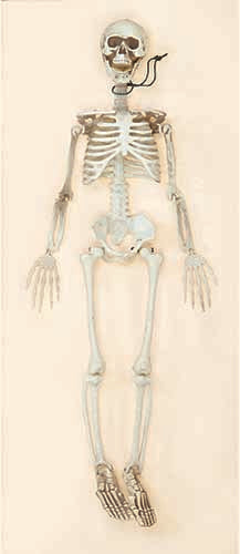 Worth Imports Posable Skeleton