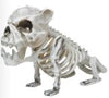 Good Tidings Skele-Bull Dog Decor