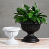 Novelty Grecian Urn Planter