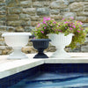 Novelty Grecian Urn Planter