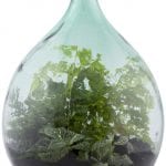 Esschert Design Terrarium Bottle w/Tools, Glass