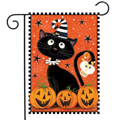 Briarwood Lane Black Kitty Halloween Garden Flag