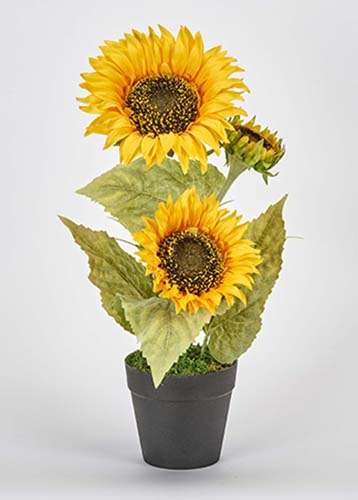 Worth Imports 14 Potted Sunflower Plant w/ 3 Sunflower Heads