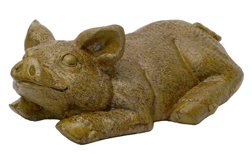 Athens Stone Casting Laying Pig Looking Up