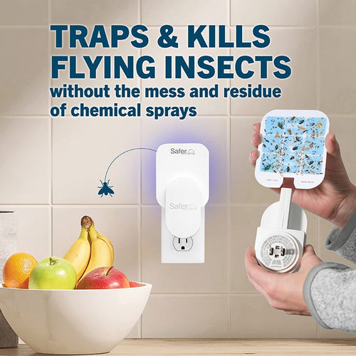 SAFER® Home Indoor Fly Trap Refill Glue Cards
