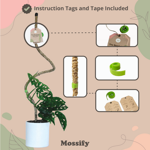 Mossify The Original Bendable Coir Pole™