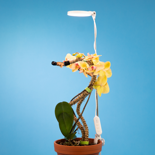 Mossify 28 Adjustable LED Plant Light