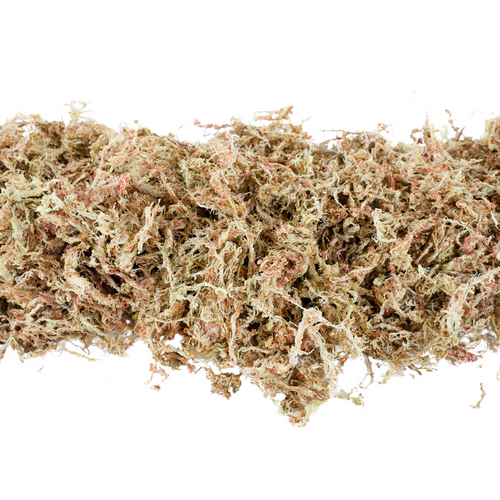 Mossify  150G Sphagnum Moss