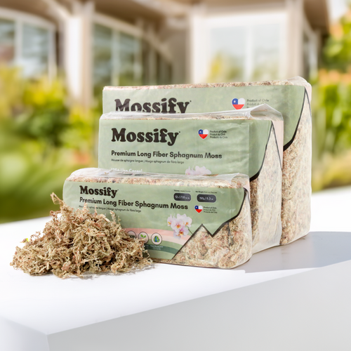 Mossify  150G Sphagnum Moss