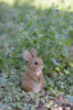 Hi-Line Gift Small Standing Rabbit