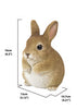 Hi-Line Gift Rabbit Chubby Standing Statue