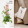 Treleaf Zella - Wooden Extendable Plant Support