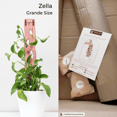 Treleaf Zella - Wooden Extendable Plant Support