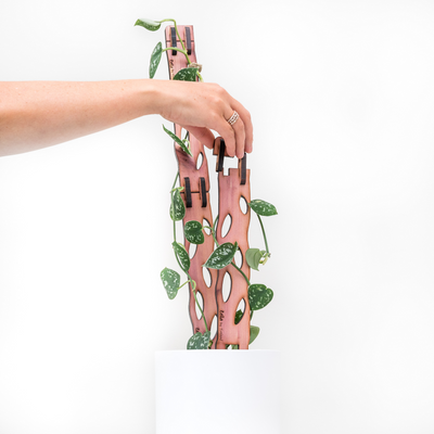 Treleaf Zella - Wooden Extendable Plant Support