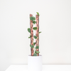 Treleaf Zella - Wooden Extendable Plant Support