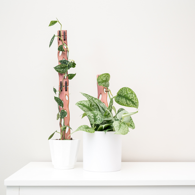 Treleaf Zella - Wooden Extendable Plant Support