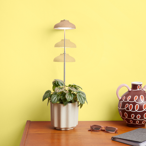 We The Wild Instant Sun Houseplant Grow Lamp