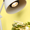 We The Wild Instant Sun Grow Bulb