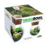 Unique Gardener MossBowl Grow Your Own Beautiful Moss Garden Complete Kit