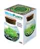 Unique Gardener WaterPlants Grow Lush Aquatic Plants from Seed! Thrives With Minimal Care