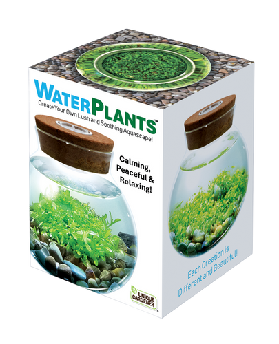 Unique Gardener WaterPlants Grow Lush Aquatic Plants from Seed! Thrives With Minimal Care