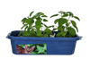 Toys By Nature Crazy Cat Plant Mini World Terrarium