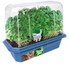 Toys By Nature Crazy Cat Plant Mini World Terrarium