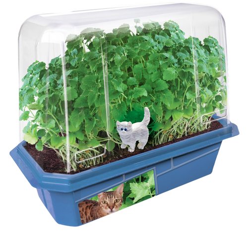 Toys By Nature Crazy Cat Plant Mini World Terrarium