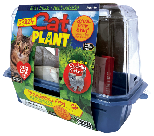 Toys By Nature Crazy Cat Plant Mini World Terrarium