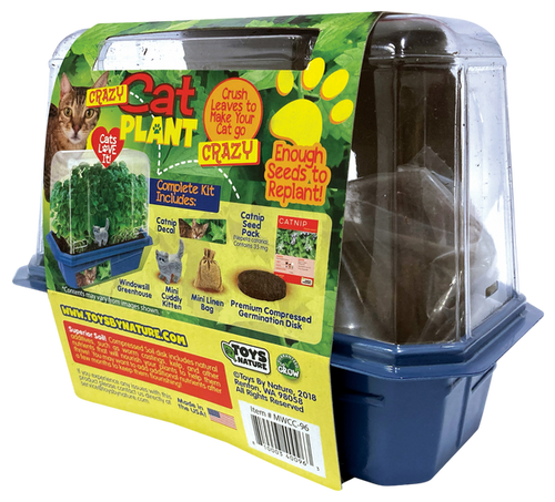 Toys By Nature Crazy Cat Plant Mini World Terrarium