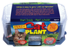 Toys By Nature Crazy Cat Plant Mini World Terrarium