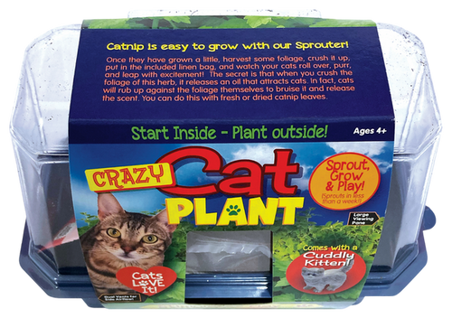 Toys By Nature Crazy Cat Plant Mini World Terrarium