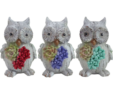 Alpine Succulent Owl Statue Assorted