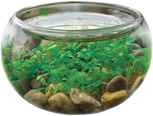 Unique Gardener Mini Water Plants Kit