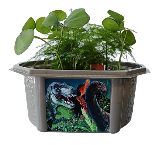 Toys By Nature Dinosaur Domain Biosphere Terrarium