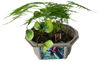 Toys By Nature Dinosaur Domain Biosphere Terrarium