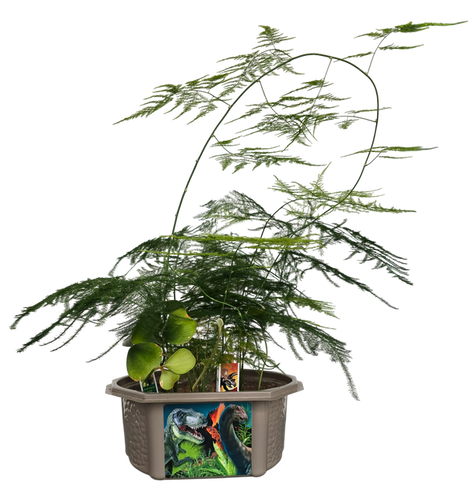 Toys By Nature Dinosaur Domain Biosphere Terrarium