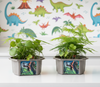 Toys By Nature Dinosaur Domain Biosphere Terrarium