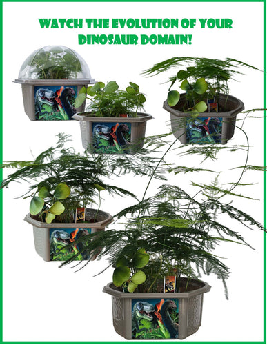Toys By Nature Dinosaur Domain Biosphere Terrarium
