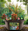 Toys By Nature Tropical Rainforest Jungle Biosphere Terrarium