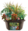 Toys By Nature Tropical Rainforest Jungle Biosphere Terrarium